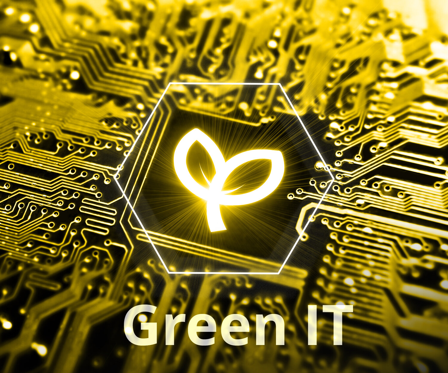 Green IT, Nachhaltigkeit in IT