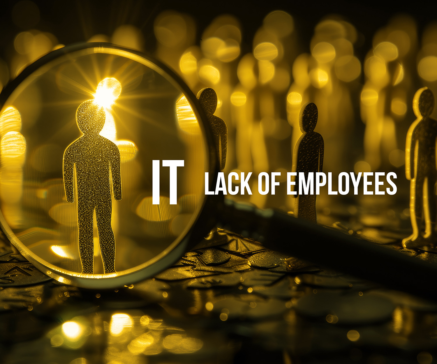 Lack of IT employees