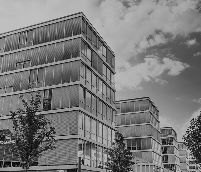 Kundenreferenz Stadt Neustadt Kundenreferenz DTS Stadt Neustadt